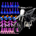 RTR Titanium Bolt Kit
