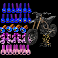 Surron Ultra Bee Titanium Bolt Kit